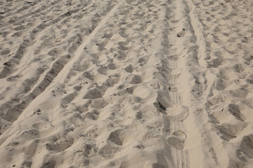 desert beach access car tire traces in the sand imprint of truck tires prints on sandy footprints on coast