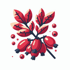 barberry, ripe, food, berry, red, leaf, fruit, plant, branch, fresh, natural, healthy, antioxidant, vitamin, spice, goji, organic, herb, background, ingredient, isolated, autumn, herbal, snack, medici