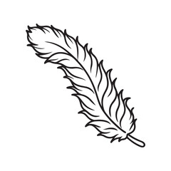 Fototapeta premium feather icon