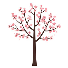 Pink Cherry Blossoms in Full Bloom on Tree Branches