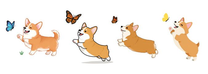 Playful Corgi Puppy Trying to Catch Butterfly