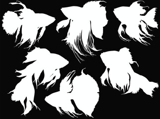 fishes six silhouettes collection isolated on black
