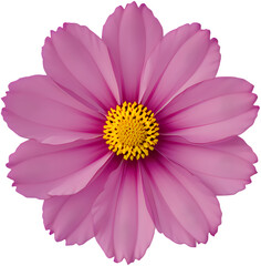 Pink Cosmos Single Flower Cutout