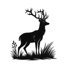 A very beautiful black and white deer