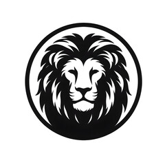 A very beautiful black and white lion