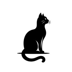 A very beautiful black and white bird