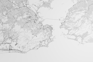 Map of the streets of Rio de Janeiro (Brazil) on white background. 3d render, illustration