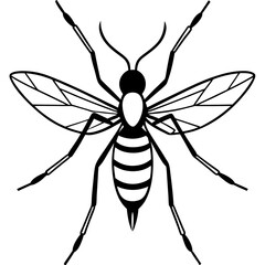 vector illustration of a mosquito