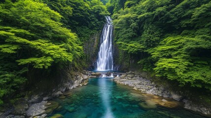 A high-definition image of a vibrant green forest with a central stream flowing down from a waterfall, creating a clear blue pond on the rocks.