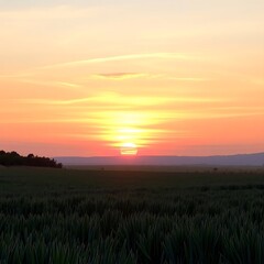 Vibrant sunset over a vast, flat field.