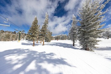 Winter landscape with snow-covered trees and slopes.
