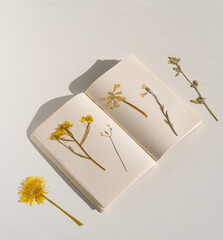 Botanical art of Pressed Flowers in NoteBook, minimalist summer aesthetic, nature design