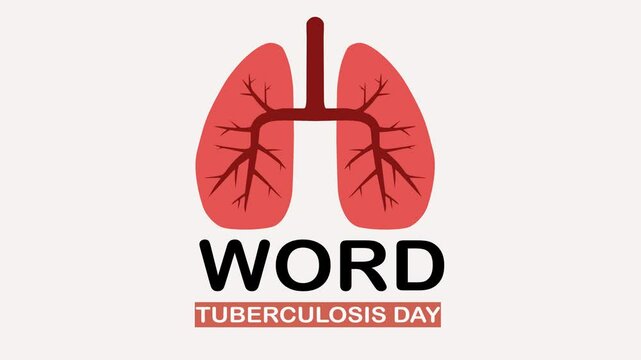 World Tuberculosis Day Lungs On White Background