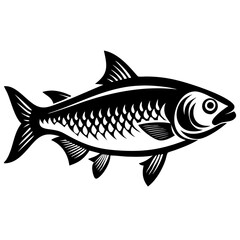 Hilsa Fish Vector – Detailed Illustration, Silhouette & Clipart