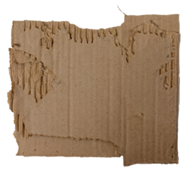 Isolated torn corrugated cardboard on white background, copyspace