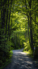 Natural Tunnel: A Picturesque Mountain Hiking Route Drenched in Tranquility and Wilderness