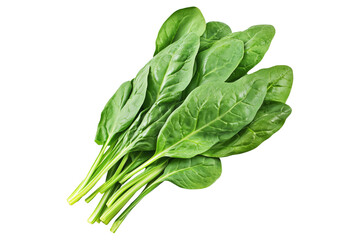 Vibrant baby spinach leaves isolated on white transparent background. Perfect for culinary uses