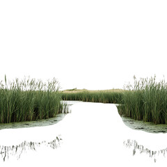 A Serene Marsh with Clusters of Bog Plants and Reeds Isolated on Transparent Background