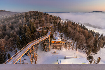 Krynica-Zdrój - ścieżka koronami drzew. © Jacek
