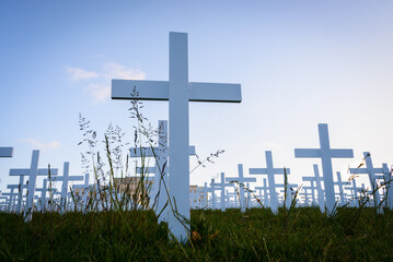 Low angle view of white crosses on Armistice Day commemoration. Auckland. New Zealand.