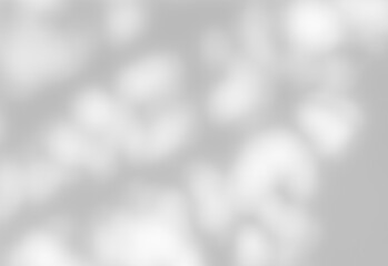 Shadow of leaves tree plant overlay on white wall. Sunlight effect shadow on the wall. Minimal blurred backdrop backgrounds. Summer tropical surface background.