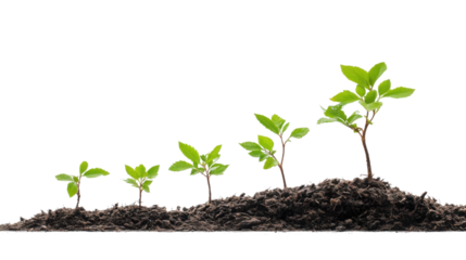 A Detailed Conceptual Illustration Representing the Impact of Mergers on Business Growth isolated on white background 