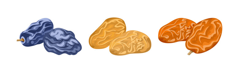 Set of raisins isolated on white background. Vector cartoon flat illustration. Dried fruits icon