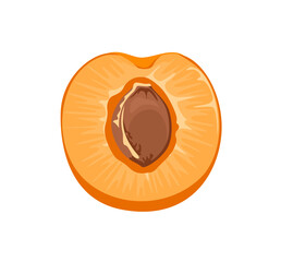 Apricot slice with kernel isolated on white background. Vector cartoon flat illustration. Fresh fruit icon