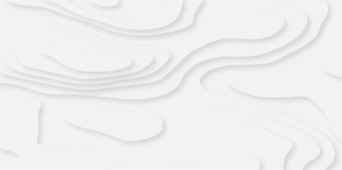 Abstract gradient layer white papercut topography luxurious stripe spiral web dynamic geometric frame modern background. modern vector illustration banner texture background.
