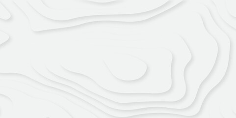 Abstract gradient layer white papercut topography luxurious stripe spiral web dynamic geometric frame modern background. modern vector illustration banner texture background.
