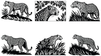 cheetah cat animal coloring page