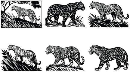 cheetah cat animal coloring page