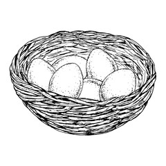 Black and white ink drawing of three pussy willow branches. Hand-drawn spring botanical illustration for seasonal cards, invitations, packaging, nature-themed designs, or religious celebration