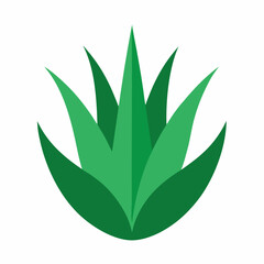 Aloe Plant Vector Graphic Ideal for Logos & Natural Branding.