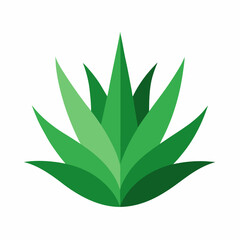 Aloe Plant Vector Graphic Ideal for Logos & Natural Branding.