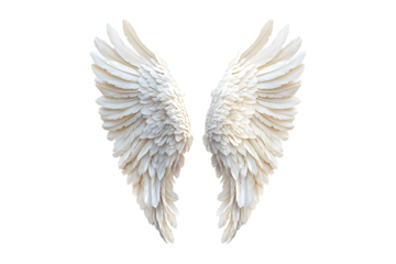 Angel wings Isolated on White and Transparent Background PNG Image.