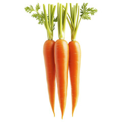 Fresh carrots with green tops isolated on a white transparent background. Concept of healthy eating, nutrition, and balance