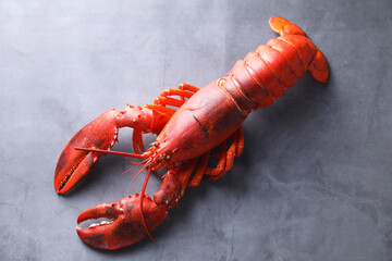 Delicious boiled lobster on grey table, top view