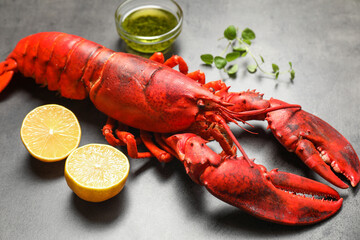 Delicious boiled lobster with oil, microgreens and lemon pieces on grey table, closeup