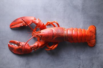 Delicious boiled lobster on grey table, top view