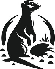 black and white meerkat