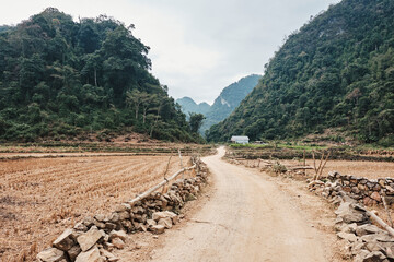 Solitary dirt road leading to Angel Eye mountain in Cao Bang, Vietnam framed by lush hills and fields