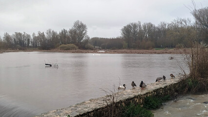 Crecida de río por abundantes lluvias un día lluvioso en Burgos, España