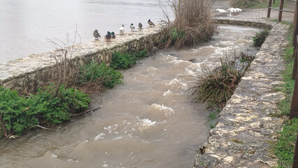 Crecida de río por abundantes lluvias un día lluvioso en Burgos, España