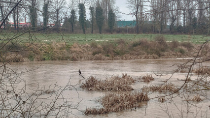 Crecida de río por abundantes lluvias un día lluvioso en Burgos, España