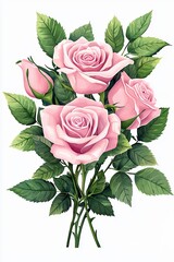 Naklejka premium Pale Pink Rose Bouquet Close Up