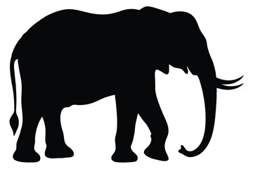 Fototapeta premium elephant vector illustration