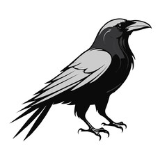 Obraz premium Minimalist Raven Vector Design
