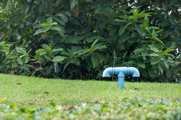 Blue pipe is sitting on the grass in a lush green field