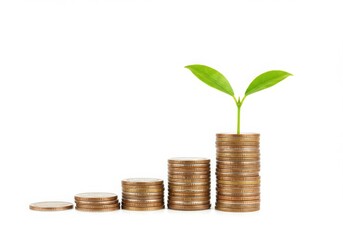 Stacks of coins in increasing height with a small green plant on the tallest stack isolated